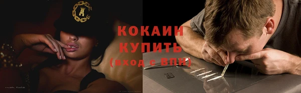 прущий лед Горняк