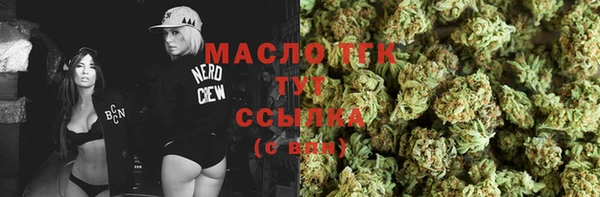 прущий лед Горняк